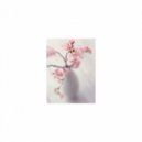 Mindfulness Healing Sleep BGM Project - Concept and Delicateness