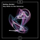 Halley Seidel - Say Hello To The Universe (Original Vocal Mix)
