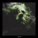 Carbon - Inner Flight