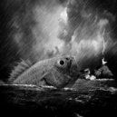 Felps Music - Big Fish (Original)