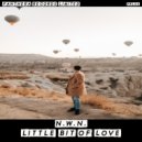 N.W.N. - Little Bit Of Love