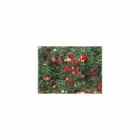 Mindfulness Healing Sleep BGM Project - Bougainvillea and BGM (Sleep BGM)