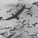 Arelice - Tonight