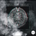 IDNAS HYDE - Mantric Vibe
