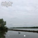 Ruimte Vogel - Alvarius