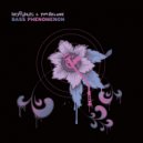 Krafty Kuts, Tim Deluxe - Bass Phenomenon (DJ Friction Remix)