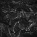 Sam Wilson - Freezing Point