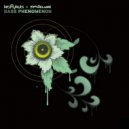 Krafty Kuts, Tim Deluxe - Bass Phenomenon (Core Overload Remix)