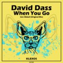 David Dass - Bidoof (Original Mix)