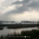 Ruimte Vogel - Lost