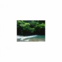 Mindfulness Healing Sleep BGM Project - Word and Concentration (Sleep BGM)