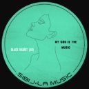 Black Rabbit (AR) - Failling Love