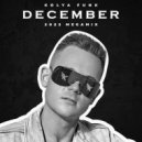 Kolya Funk - December 2022 Megamix ()