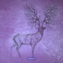 Raumlehre - Cryptic Coloration