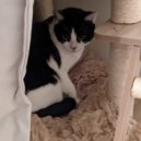 Dirty Lee - Mozminasds