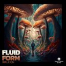 Fluid Form - Walk On (Original Mix)
