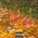 Larry Donnavon & Chris Millz - Aspirations (feat. Chris Millz) ()