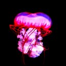 Orchiddian - Rude ()