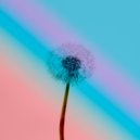 Tiniroast - Allez ()