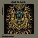 Minidisk - Back To Earth