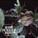 Assimilated - Into The Night