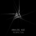 Analog Age - Perpetua (Radio Edit)