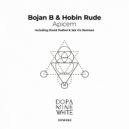 Bojan B & Hobin Rude - Apicem (Original Mix)