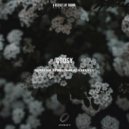 Coosy - Sunbeam Between Remembrance