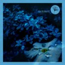 Oscar De Rivera - Blue Velvet