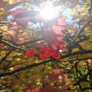 Владимир Кошеленко - Angels Army ()