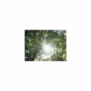 Sleep BGM Mindfulness - Sleep BGM Rainbow and Joy
