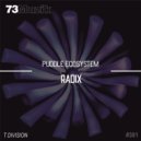 Puddle ecoSystem - Radix (Original Mix)