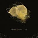 Madness Factory - Twenty Two