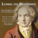 Steven Honigberg - Sonata No. 5, Op. 102 No. 2 III. Allegro fugato ()