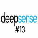 Aleksey - In the Mix 2023_02 Deep Sense 13 ()