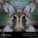 Evan Gamble Lewis - Raccoon