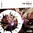 Semper T. - The Seeker (Original Mix)