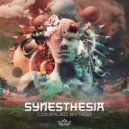 Samadhi - Frame Trance