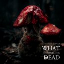 Cam Lasky - Putrid Smell of Corpse (Original Mix)