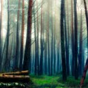 AstroPilot - Pineland ()