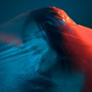 Atomic Habits - Swimming In The Deep Ocean ()