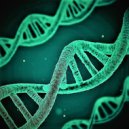 Bchop - Leave out this (Original Mix)