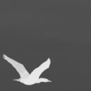 Sinisa Tamamovic - Source