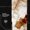 Bruce Mennel - Hacktivist