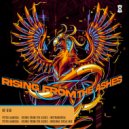 Peter Almeida - Rising From The Ashes