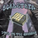 SCALETRIP - step to the unknown