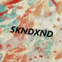 Painflowers - SKNDXND ()
