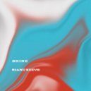 Rianu Keevs - Shine