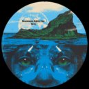 Vesy - Frequencies (Original Mix)