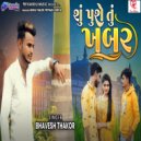 Bhavesh Thakor - Su Puse Tu Khabar ()